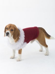 The Celebrator Dog Sweater